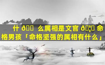 什 🐠 么属相是文官 🦁 命格男孩「命格坚强的属相有什么」